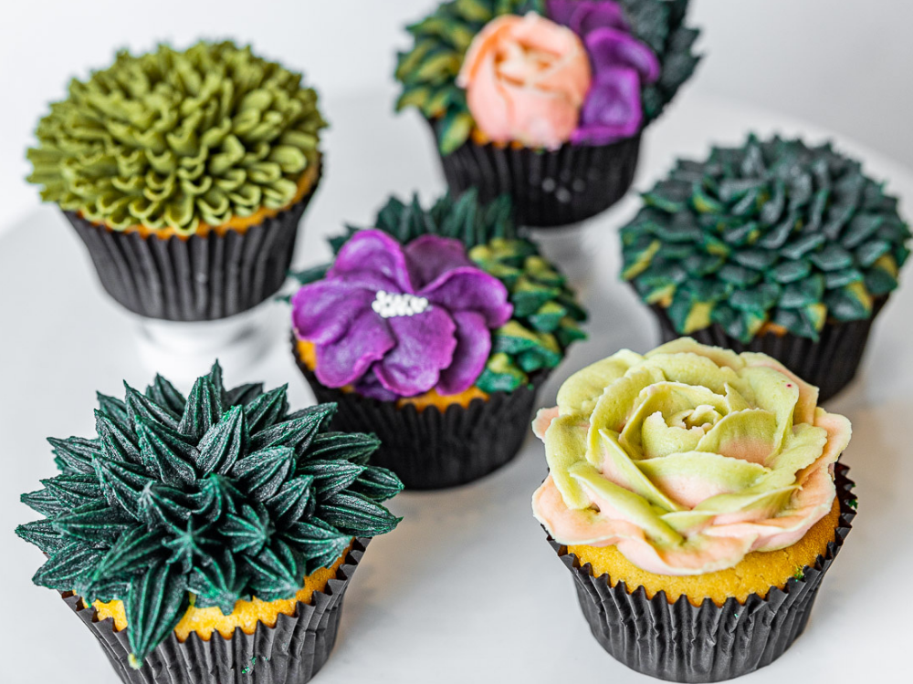 Buttercream Succulents Class